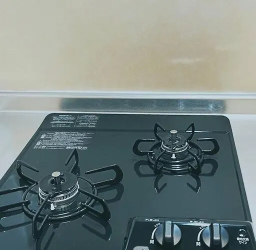 日本の下町新小岩デメテル202